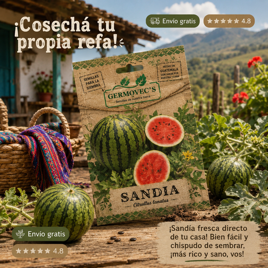SEMILLAS SANDIA DULCE PREMIUM